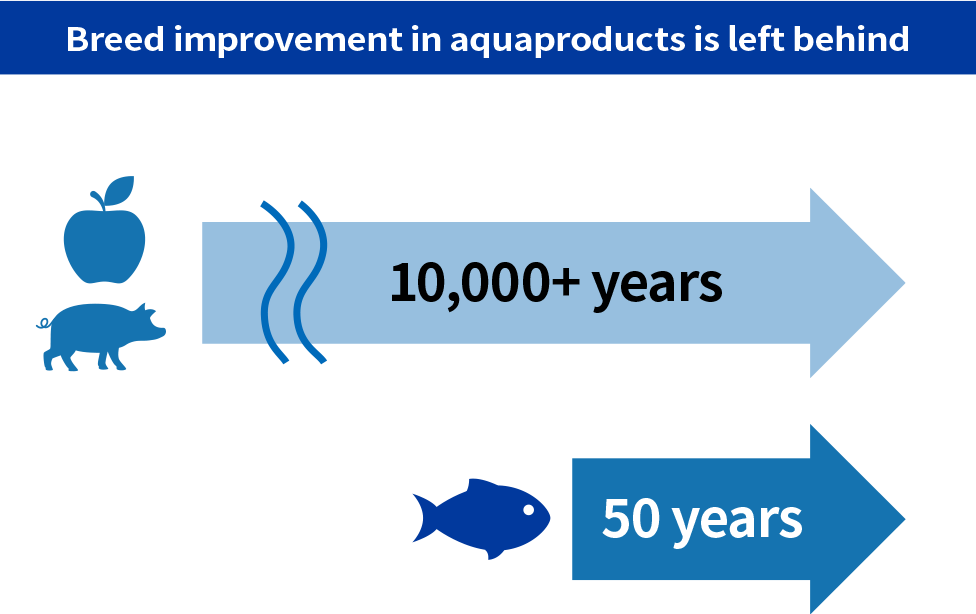 Breed improvement of aquaproducts are left behind