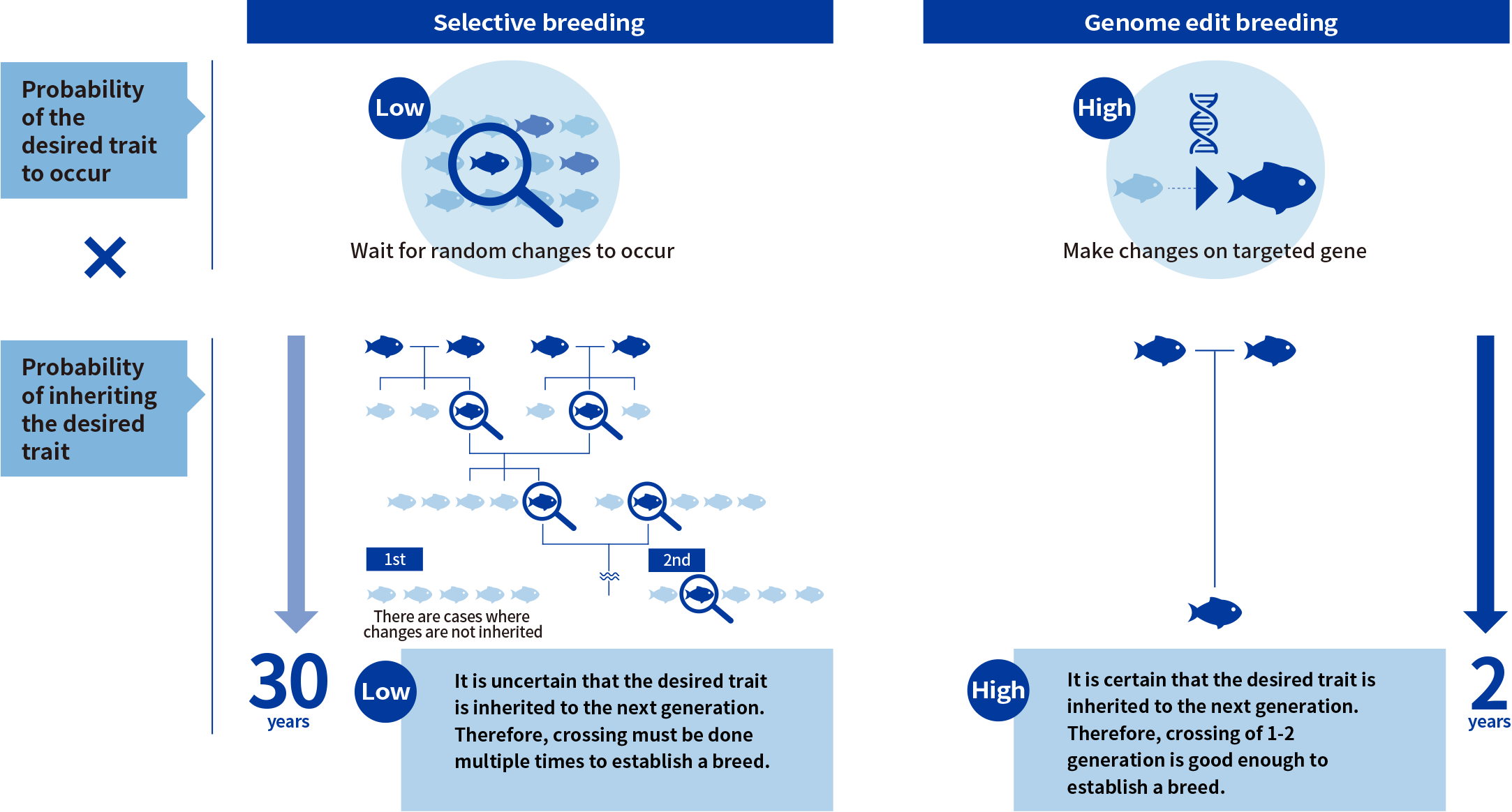 Selective breeding & Genome edit breeding