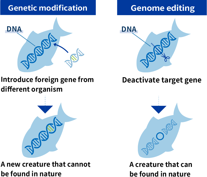 Genetic modification & Genome editing