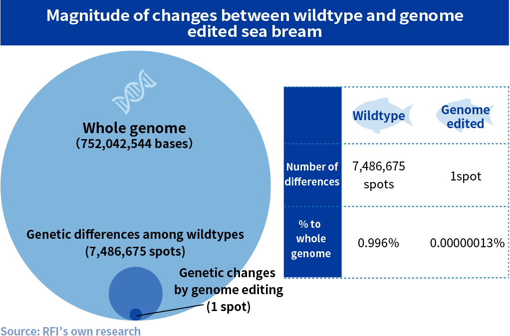 Magnitude of changes between wildtype and genome edited sea bream